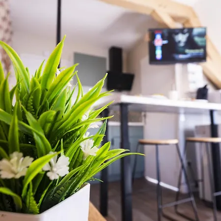 Nouveau Omer - Netflix & Clim - Centre Transports - Ideal Pro Ou Couple - Cosy & Confort - Speciale 公寓 *